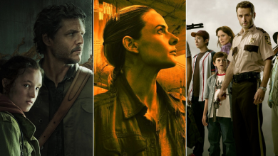 Hayatta kalma dizileri