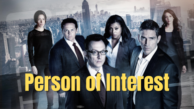 Person of Interest dizi